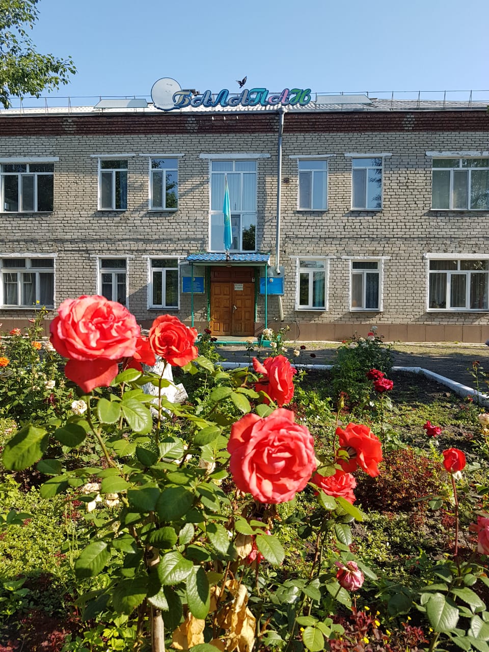 Фото дошкольной организации